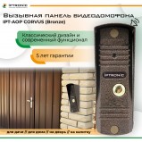 IPTRONIC IPT-AOP CORVUS (Bronze) - Видеонаблюдение оптом